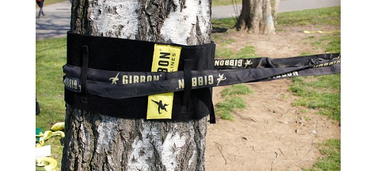 Gibbon® Baumschoner "Treewear XL"