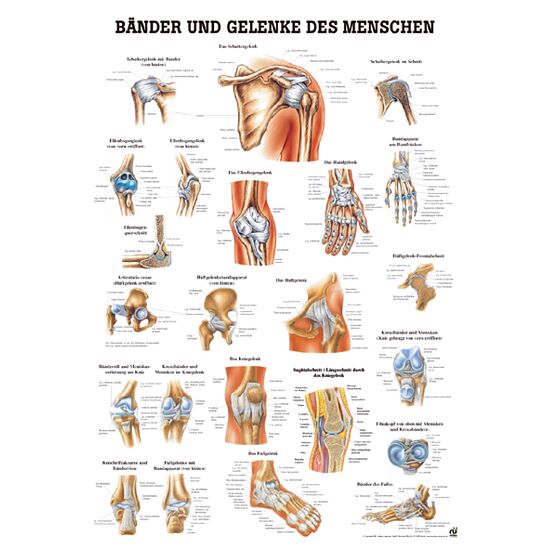 Download Lehrtafel HD
