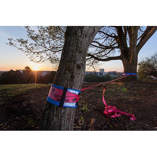 Elephant® Slackline Rookie Flash'line Set