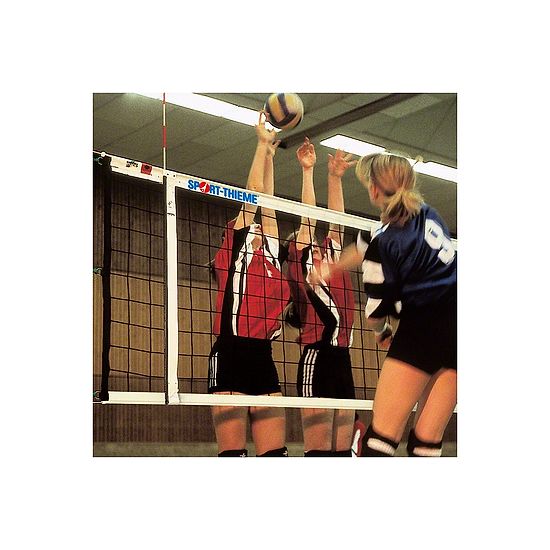 Volleyball DVV 1 kaufen SportThieme.at