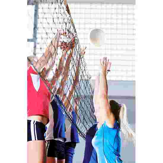 Volleyball Turniernetz DVV 2