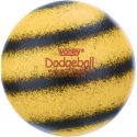 Volley Dodgeball