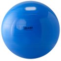 Gymnic Fitnessball ø 95 cm