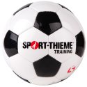 Sport-Thieme Fußball "Training" Größe 5