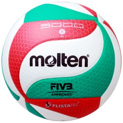 Molten Volleyball
 "V5M5000"
