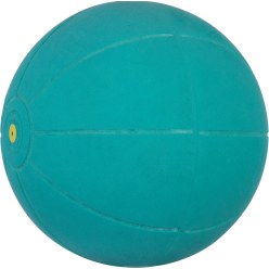 WV Medizinball
