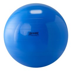 Gymnic® Gymnastikball ø 65 cm