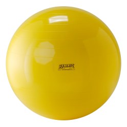 Gymnic Gymnastikball ø 65 cm