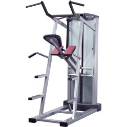 Schnell Klimmzug- & Dips-Maschine