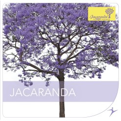 Togu CD
 "Jacaranda"