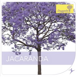 CD "Jacaranda"