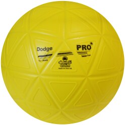 Trial Dodgeball Pro