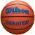 Wilson Basketball
 "Evolution"