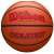 Wilson Basketball
 "Evolution"